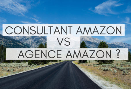 Consultant Amazon vs Agence Amazon